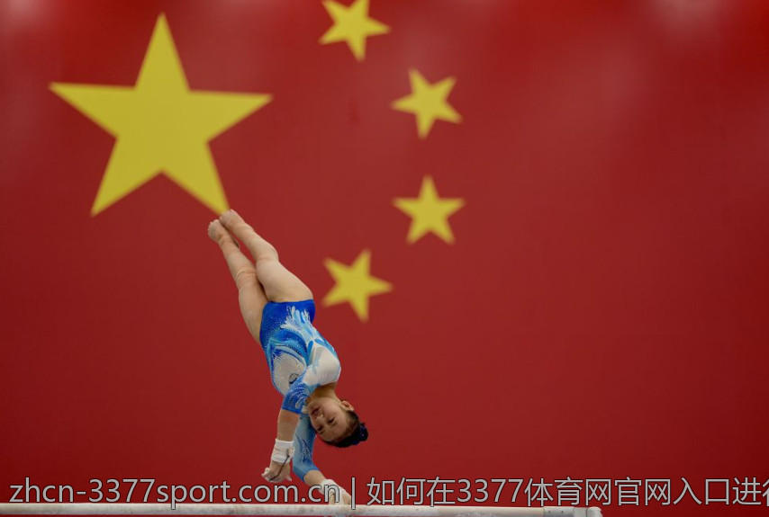 如何在3377体育网官网入口进行在线投注